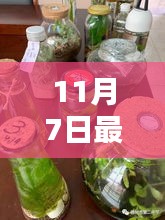关于我们 第668页