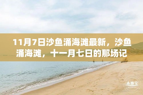 关于我们 第667页