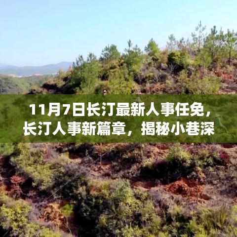 行业新闻 第646页