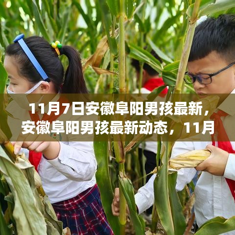 项目介绍 第654页