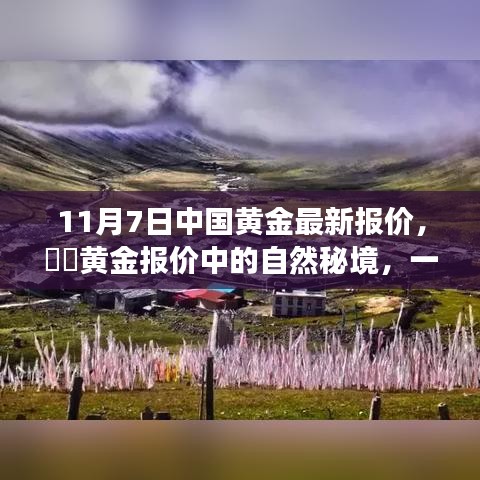 项目介绍 第646页