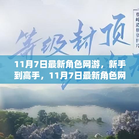 新手到高手，11月7日最新角色网游任务技能攻略大揭秘