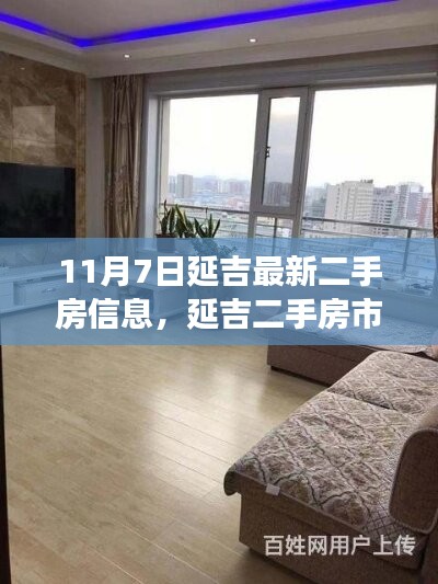 星星打烊 第13页