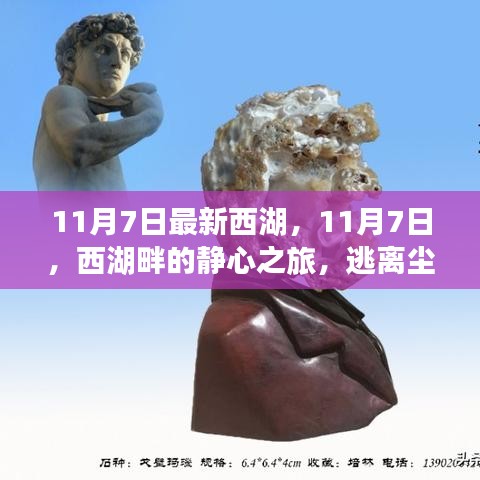 对答如流 第14页