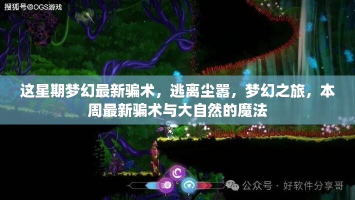 关于我们 第636页