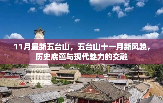 虎视眈眈 第11页
