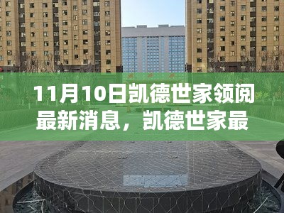 凯德世家最新动态解析，11月10日消息引发的深度思考
