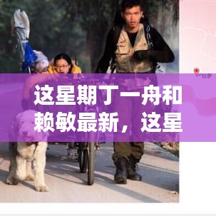丁一舟与赖敏的任务指南，本周最新全面任务攻略与跟随步伐学习指南