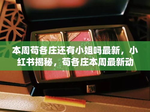 项目介绍 第607页