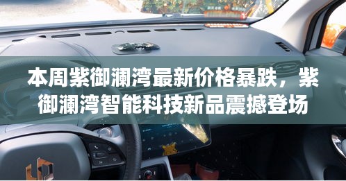 九死一生 第7页