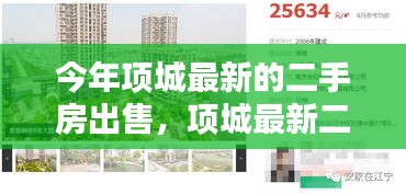 花开无言 第7页