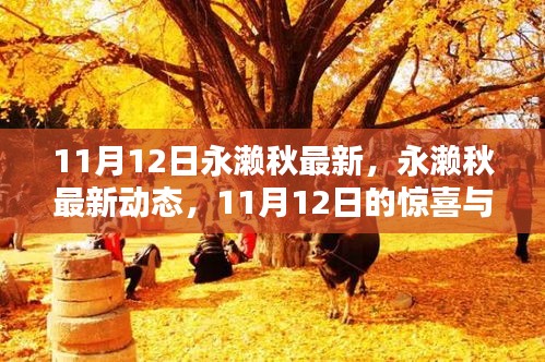 永濑秋最新动态，11月12日的惊喜与期待