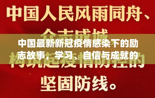 采椽不斫 第5页