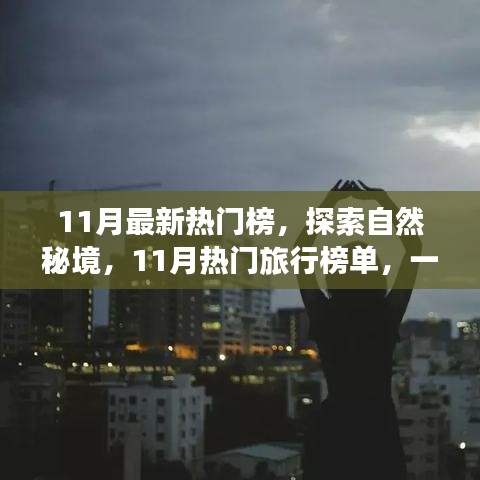 张牙舞爪 第5页