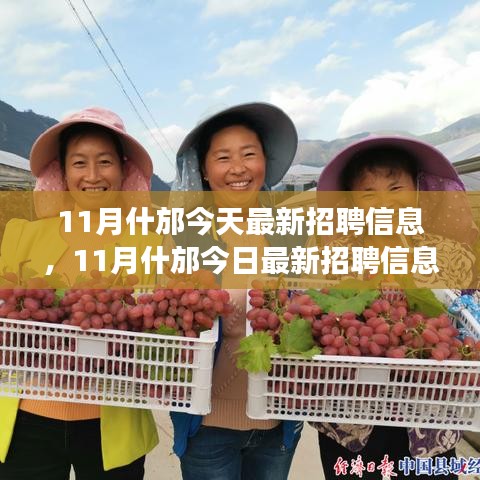 浅笑轻吟梦一曲 第4页