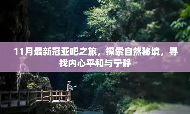 两袖清风 第4页
