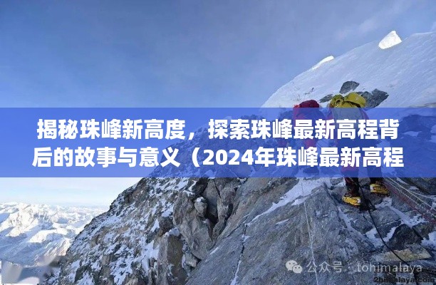 射飞逐走 第5页
