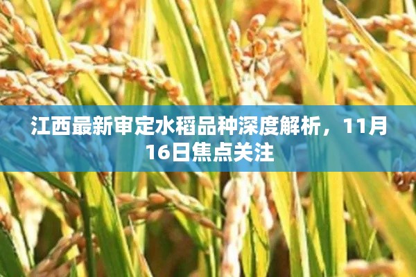 粗心大意 第5页