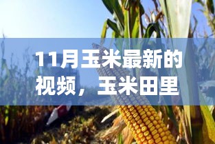 草草收兵 第5页