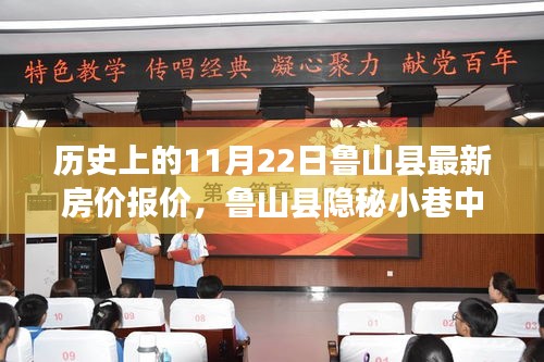 展翅高飞 第3页