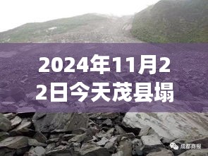 朴实无华 第4页