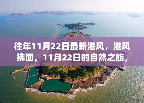 虎背熊腰 第3页