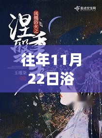项目介绍 第509页