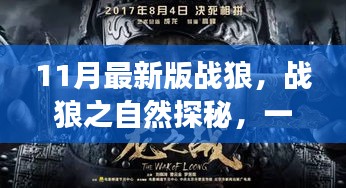 明目张胆 第5页