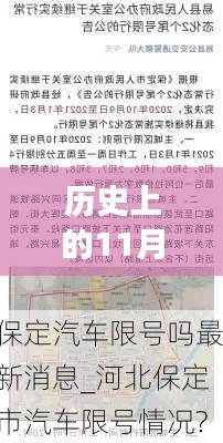 百鸟争鸣 第3页
