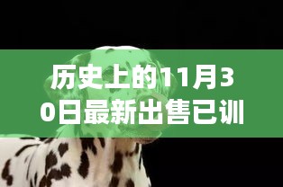 丰容盛鬋 第4页