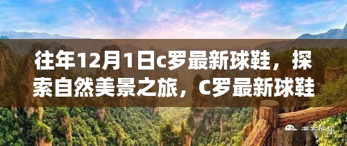 轻飞曼舞 第4页