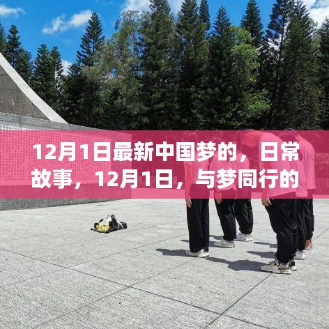 企业优势 第446页