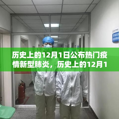 项目介绍 第446页