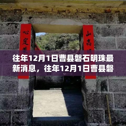 张袂如阴 第3页