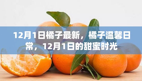 马虎从事 第3页