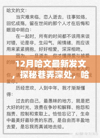 哈文探秘巷弄深处，十二月隐藏特色小店的魅力