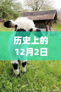 举世无双 第4页