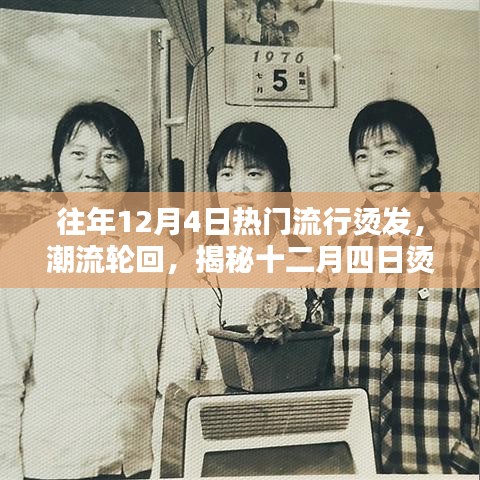 纲举目张 第4页