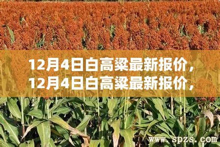 神气十足 第3页