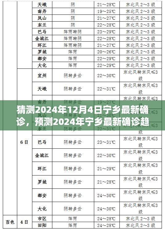 预测宁乡未来确诊趋势与健康挑战应对策略，2024年最新预测与探讨