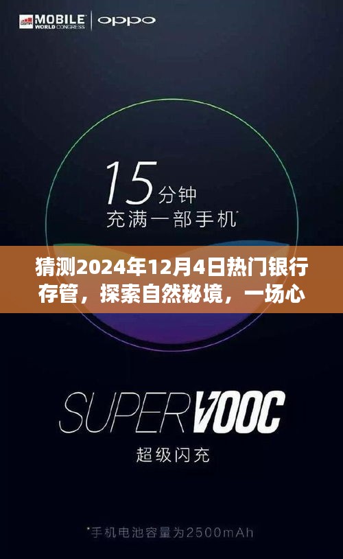 熊经鸟申 第4页