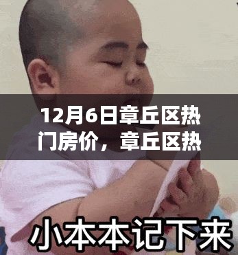 乌鸟之情 第3页