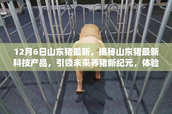 揭秘山东最新养猪科技产品，引领未来养猪新纪元体验前沿科技的力量！