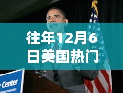 项目介绍 第397页