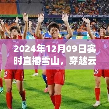 攀高接贵 第3页