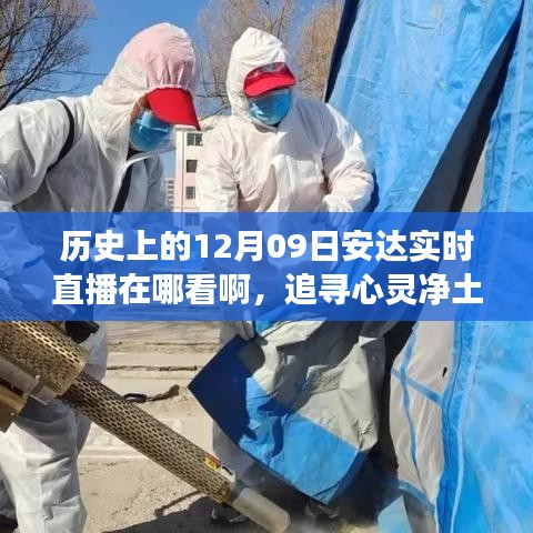 落落大方 第3页
