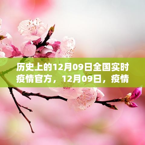 火伞高张 第3页