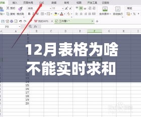 探究12月表格无法实时求和的背后原因、影响及重要性