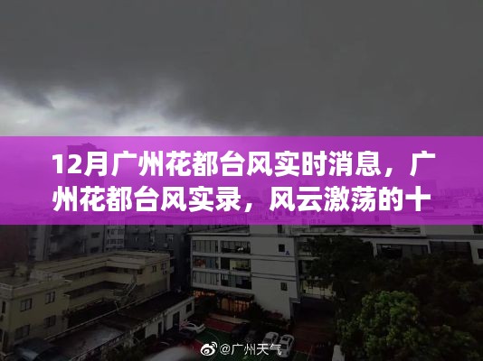 广州花都台风风云录，实时消息与实录揭秘十二月风暴来袭