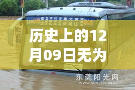 无为公交，历史定位下的奇妙之旅与心灵宁静的探寻
